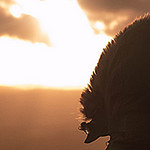 Profile Picture of James Jong (@jamesdj01) on Flickr