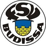 Profile Picture of FSV Budissa Bautzen e.V. (@budissa_bautzen_official) on Instagram