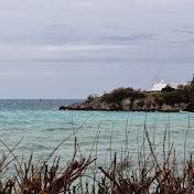 Profile Picture of Nancy Fox (@nancyfox386) on Youtube