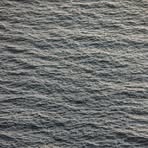 Profile Picture of Delbert Bradley (@Delbert-Bradley) on Facebook