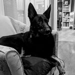 Profile Picture of Patrick Rollins (@rollinspc) on Instagram