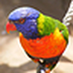 Profile Picture of Jo Roy (@jo a. roy) on Flickr