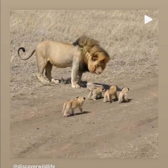 Profile Picture of Karolen Sahyoun (@karolen_sahyoun) on Poshmark