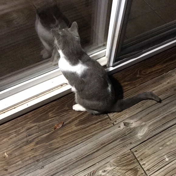 Profile Picture of Nathan Peters (@nrpeters1284) on Poshmark