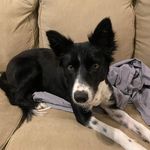 Profile Picture of Joseph Hooley (@joseph.hooley) on Instagram