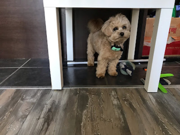 Profile Picture of Aimee Yu (@kyhkyh009) on Poshmark