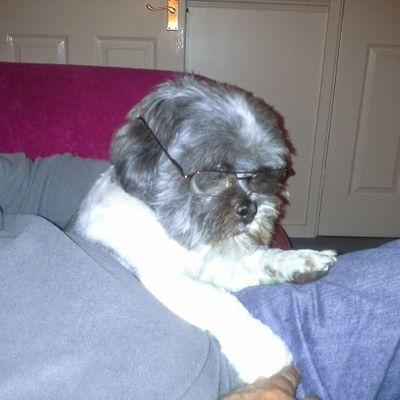Profile Picture of Steven Tolley (@8738640cabb1427) on Twitter
