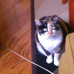 Profile Picture of Marilyn L'orange (@marilyn.lorange) on Facebook