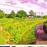 Profile Picture of Binks (@james.binks) on Instagram