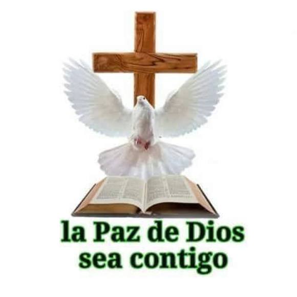 Profile Picture of Justina Collado (@janibel12) on Poshmark