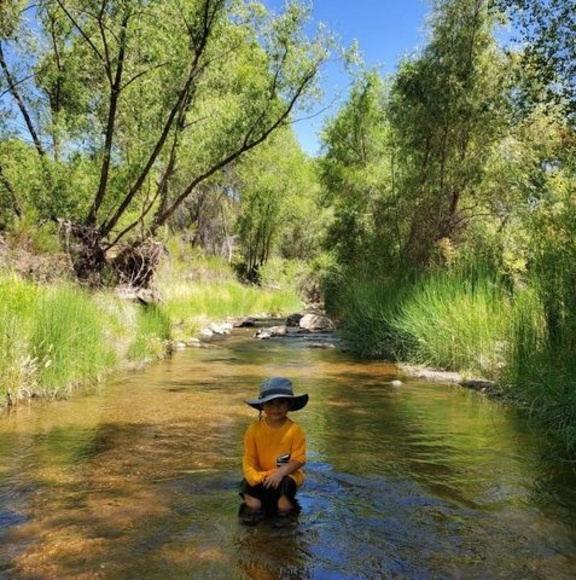 Profile Picture of Lizbeth Quintero (@lizbethquint193) on Poshmark