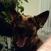 Profile Picture of Ralph Luongo (@ralph.luongo.391) on Facebook