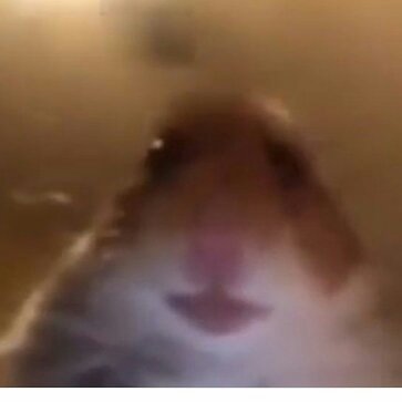 Profile Picture of Jeremy Owen Centeno Coaquira (@OwenCoaquira) on Twitter