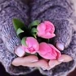 Profile Picture of Sylvia A Drahoš Čop (@sylviaadrahos) on Instagram