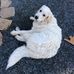 Profile Picture of Roberta Crum (@roberta.crum.5011) on Facebook