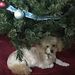 Profile Picture of Paul Cannings (@pcannings143) on Pinterest