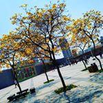 Levine Grant - Instagram Profile Picture of Levine Grant (@levine.grant) on Instagram