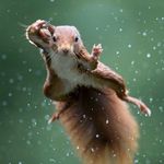 Profile Picture of Paul Demay (@paul_demay) on Instagram