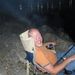 Profile Picture of Curtis Inglis (@curtisinglis) on Pinterest