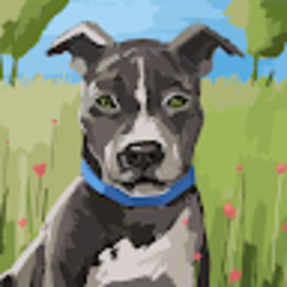 Ronda Rousey - Poshmark Profile Picture of Ronda Rousey (@brooke_ward151) on Poshmark