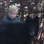 Profile Picture of Peter Wittenberg (@p.wittenberg) on Instagram