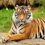 Profile Picture of jason rafael cruz vivar (@jasonrafaelcruz) on Instagram