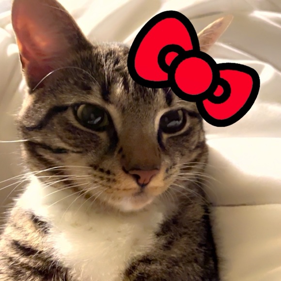 Profile Picture of Katrina Socher (@ksocher12) on Poshmark