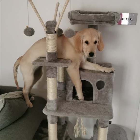 Profile Picture of Cameron Redlich (@cameron58) on Poshmark