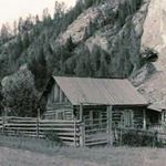 revis - Instagram Profile Picture of revis (@dohman_sue) on Instagram