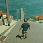 Profile Picture of Daniel Belson (@daniel.belson) on Instagram