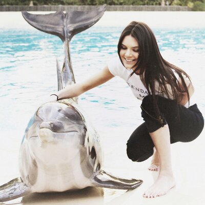 Profile Picture of Torii (@ToriHaleLA) on Twitter