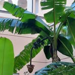 Profile Picture of Amanda Breznik (@amanda.breznik.2024) on Facebook