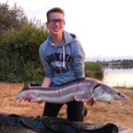 Profile Picture of Thomas Reimer (@thomas_reimer) on Instagram