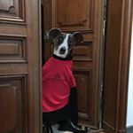 Profile Picture of Michael Tedeschi (@michael.tedeschi) on Instagram