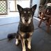 Profile Picture of Alvin Cockerham (@Alvin-Cockerham) on Facebook