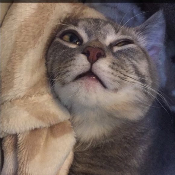 Profile Picture of Naudia Smd (@hajisniper) on Poshmark