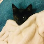 Profile Picture of Adrian Hammond (@adrian.hammond.14855) on Instagram