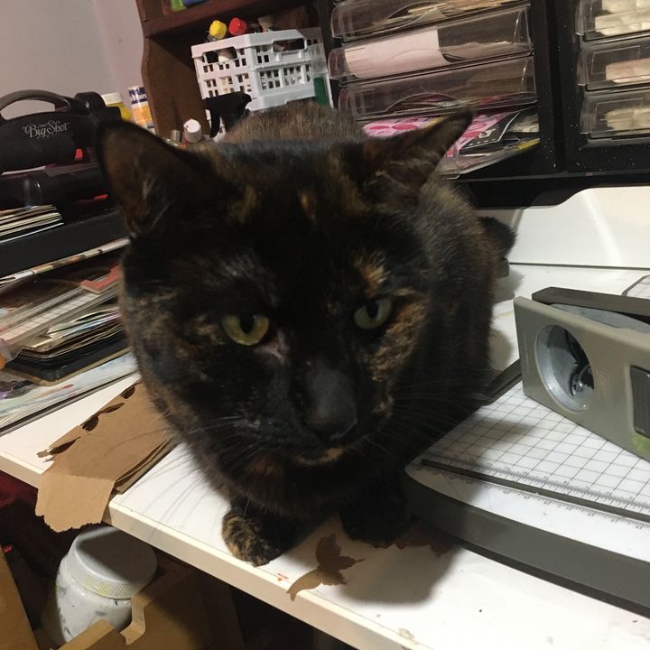 Profile Picture of Leonie Ivey (@@leonieivey) on Tiktok