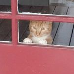 Justin Gillen - Instagram Profile Picture of Justin Gillen (@jactits) on Instagram