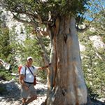 Profile Picture of John Pickup (@johntruck387) on Instagram