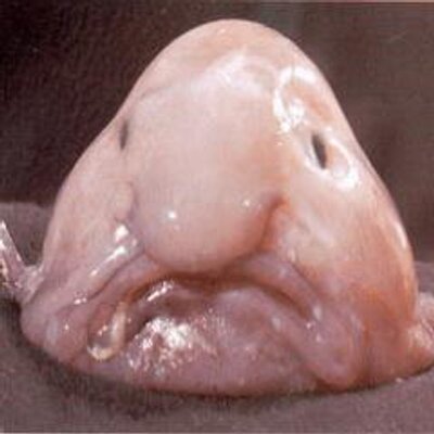 Profile Picture of Andrew Carlon (@AndrewCarlon) on Twitter