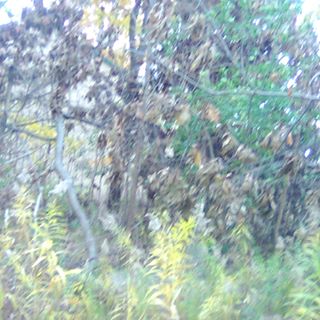 Profile Picture of Sheldon James (@sheldon.james.3538) on Facebook