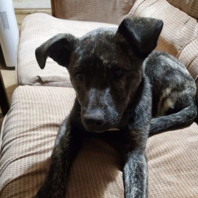 Profile Picture of Calvin Bailey (@CalvinB59070757) on Twitter