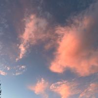 Profile Picture of timothybere_ (@timothybere_) on Tiktok