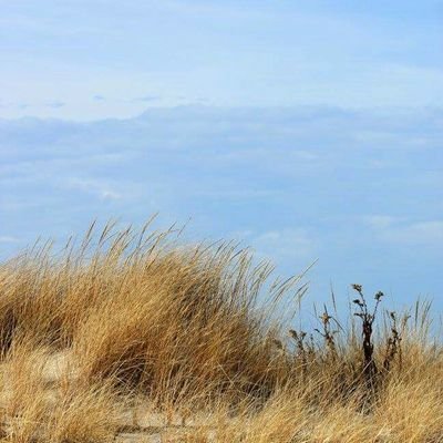 Profile Picture of Stan Burge (@StanBurge4) on Twitter