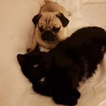 Profile Picture of Tina Högberg Wååg (@brushan_polly) on Instagram