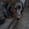 Profile Picture of H Foster (@h.foster0) on Tiktok