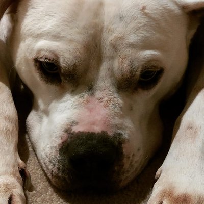 Profile Picture of Brian Toombs (@Briantoombs7) on Twitter