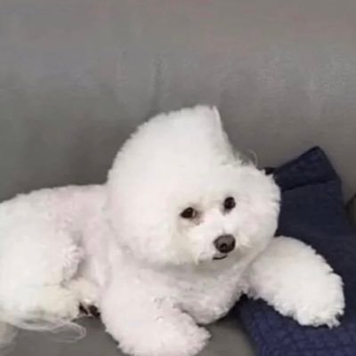 Profile Picture of Nananananamydoor (@AthenaL03767822) on Twitter