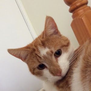 Profile Picture of Brian Meads (@brian.meads) on Tiktok